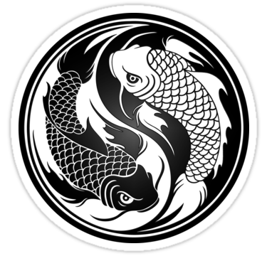Novelas Chinas en Español
