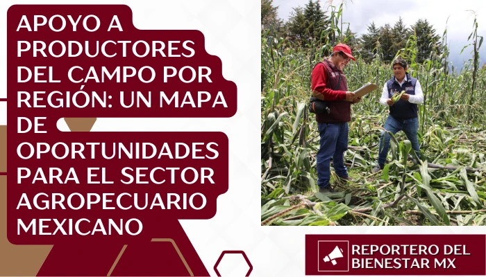 Apoyo a Productores del Campo por Región: Un Mapa de Oportunidades para el Sector Agropecuario Mexicano