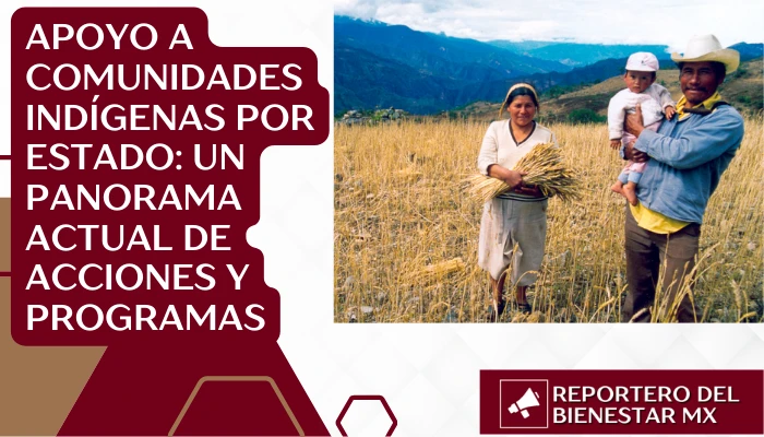 Apoyo a Comunidades Indígenas por Estado: Un Panorama Actual de Acciones y Programas