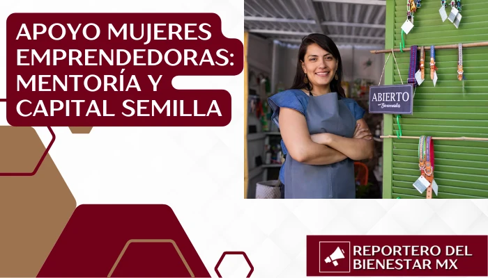 Apoyo mujeres emprendedoras: mentoría y capital semilla
