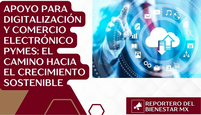 Apoyo para Digitalización y Comercio Electrónico PyMEs: El Camino Hacia el Crecimiento Sostenible