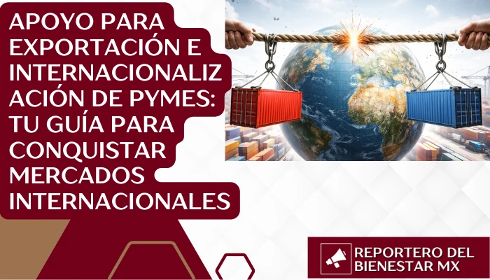 Apoyo para Exportación e Internacionalización de PyMEs: Tu Guía para Conquistar Mercados Internacionales