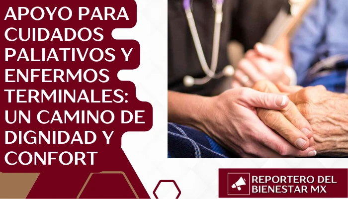 Apoyo para cuidados paliativos y enfermos terminales: Un camino de dignidad y confort
