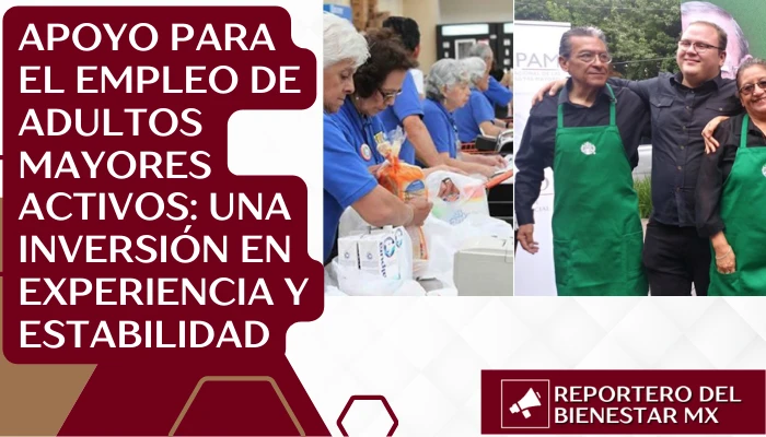Apoyo para el Empleo de Adultos Mayores Activos: Una Inversión en Experiencia y Estabilidad