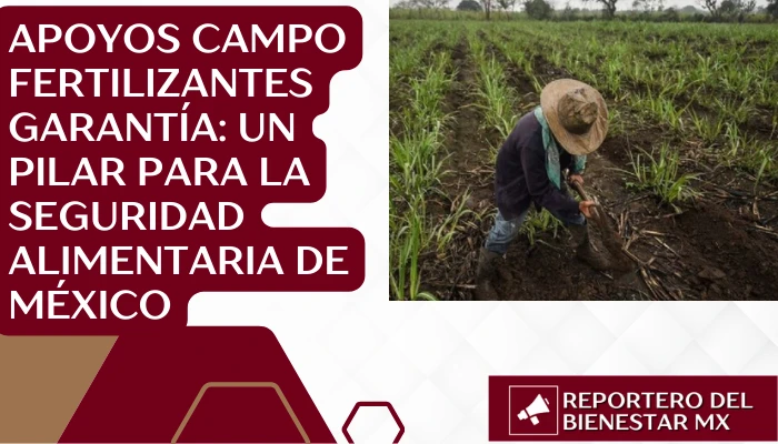 Apoyos Campo Fertilizantes Garantía: Un Pilar para la Seguridad Alimentaria de México