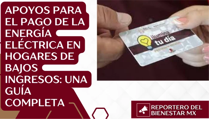 Apoyos para el Pago de la Energía Eléctrica en Hogares de Bajos Ingresos: Una Guía Completa
