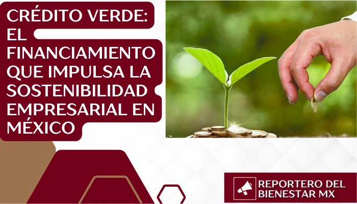 Crédito Verde: El Financiamiento que Impulsa la Sostenibilidad Empresarial en México