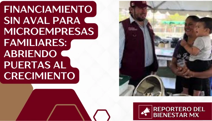 Financiamiento sin aval para microempresas familiares: Abriendo puertas al crecimiento