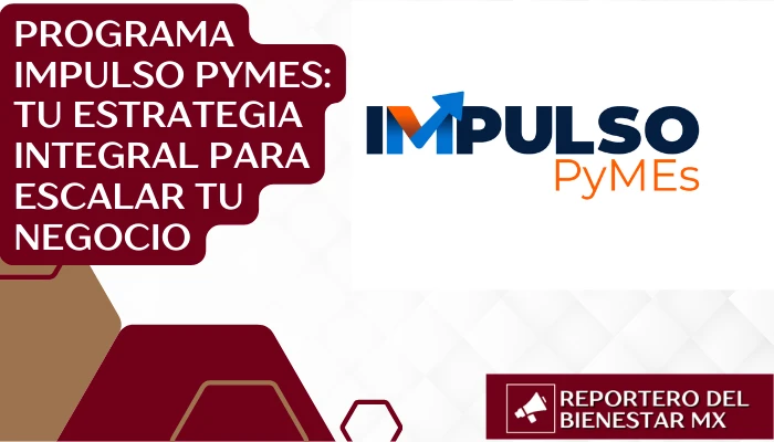Programa Impulso PyMEs: Tu Estrategia Integral para Escalar tu Negocio