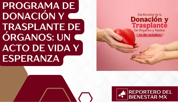 Programa de Donación y Trasplante de Órganos: Un Acto de Vida y Esperanza