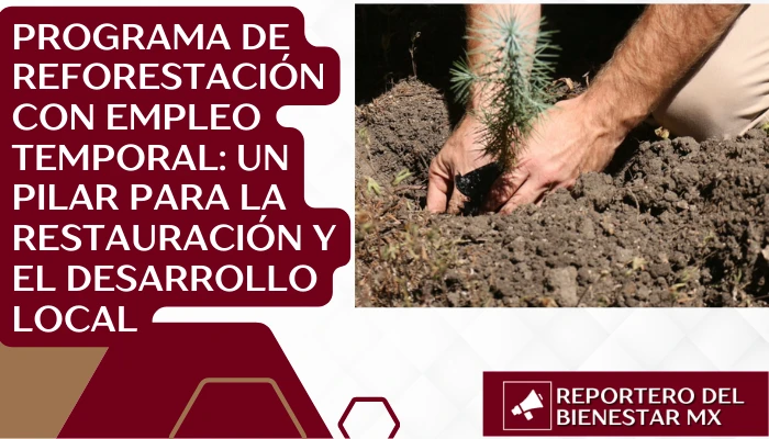 Programa de Reforestación con Empleo Temporal: Un Pilar para la Restauración y el Desarrollo Local