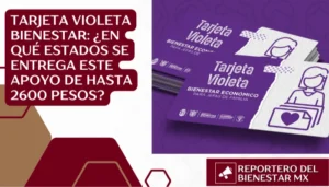 Tarjeta Violeta Bienestar: ¿En qué estados se entrega este apoyo de hasta 2600 pesos?