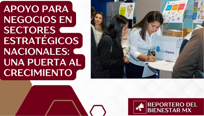 Apoyo para negocios en sectores estratégicos nacionales: Una puerta al crecimiento